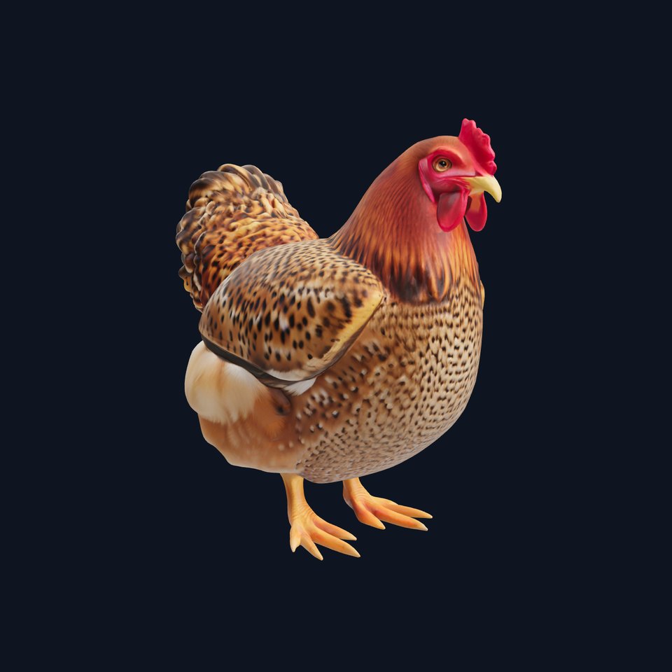 Speckled Chicken 3D Model Pack