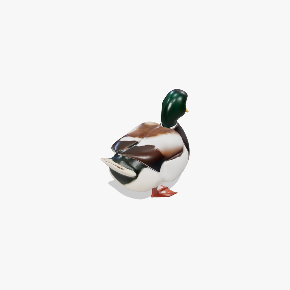 Glossy Green-headed Duck Animation Model Pack
