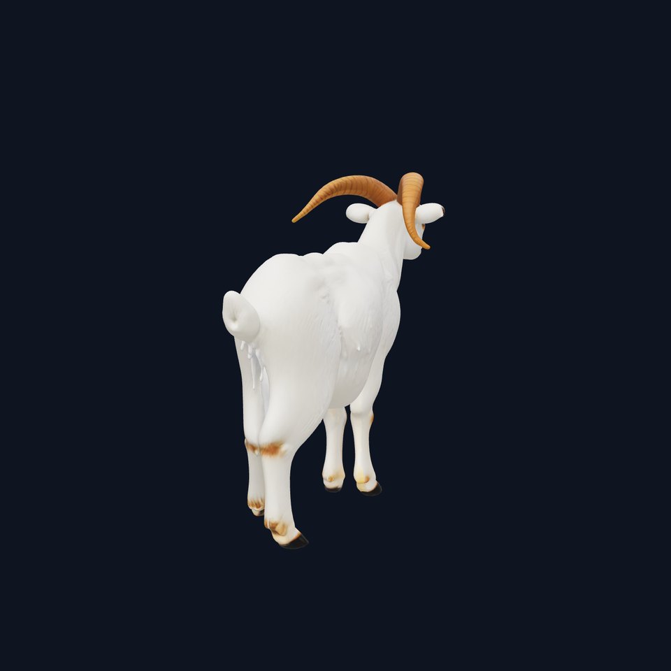Curved Horn Goat White Coat model pack