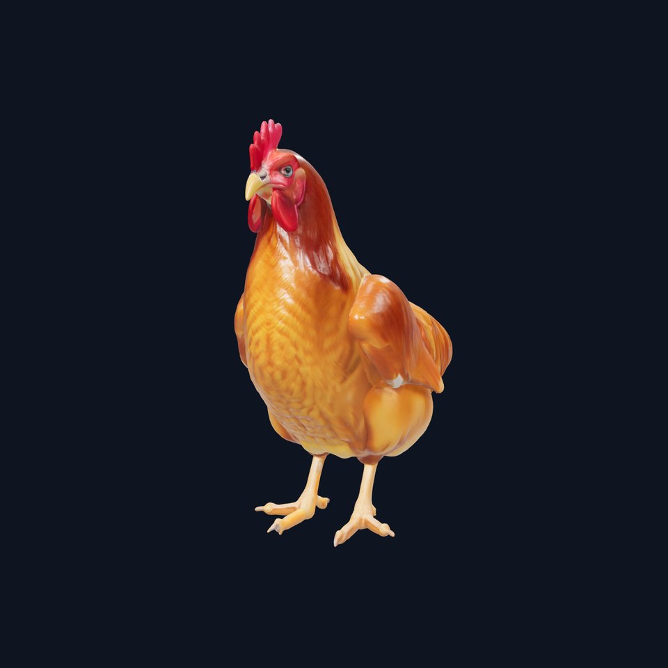 Golden Brown Chicken with Pecking Animation model pack