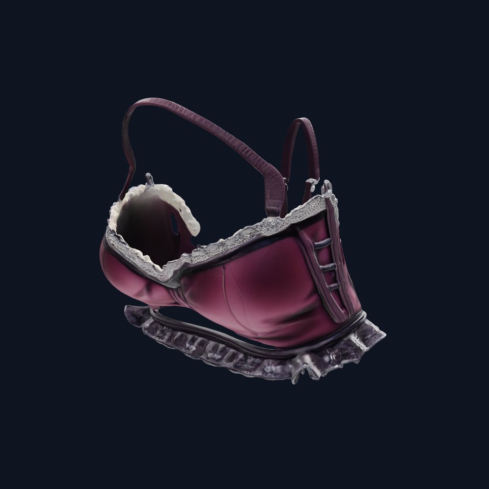 Elegant Lace Lingerie Set model pack