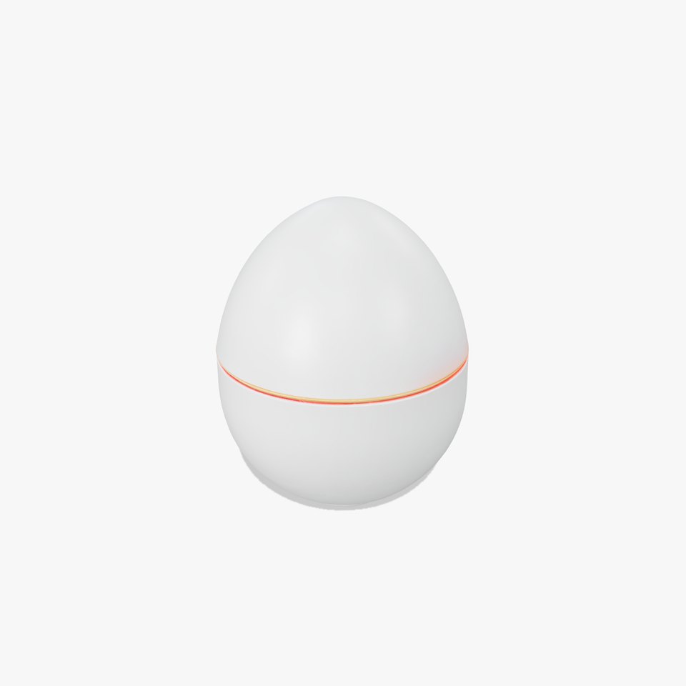 Futuristic Remote-Controlled Vibro Egg model pack
