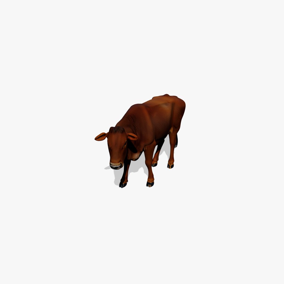 Brown Cow Detailed Model Pack