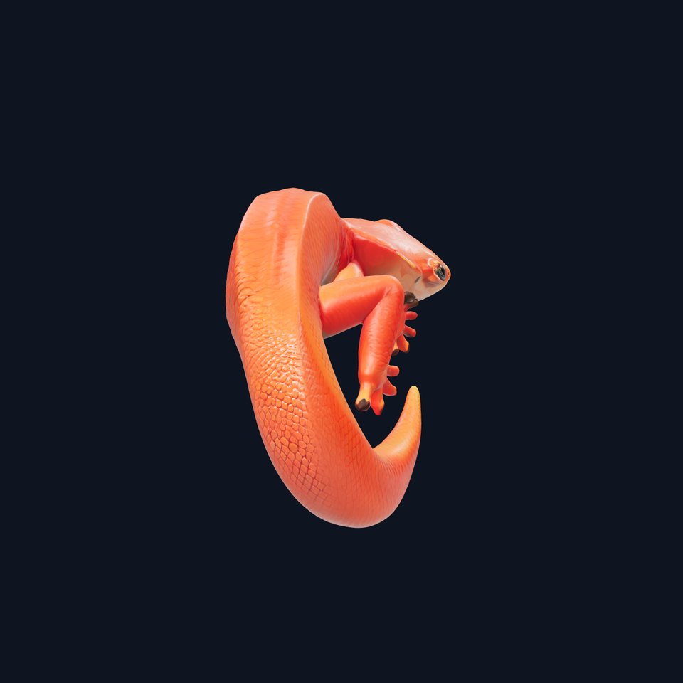 Fiery Salamander Volcanic Creature model pack