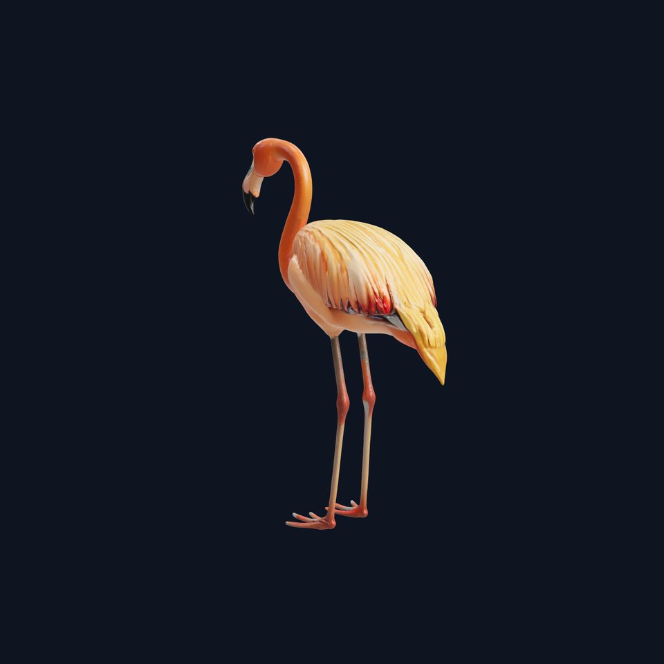Flamingo Bird Natural Pink model pack
