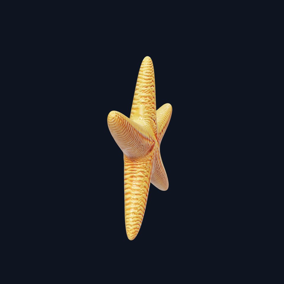 Realistic Starfish Marine Life model pack