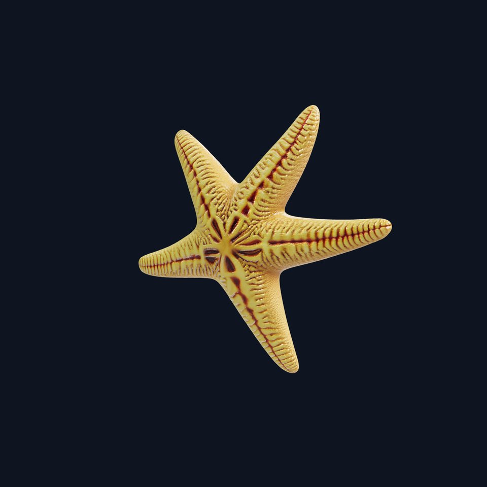 Realistic Textured Starfish Marine Model Pack