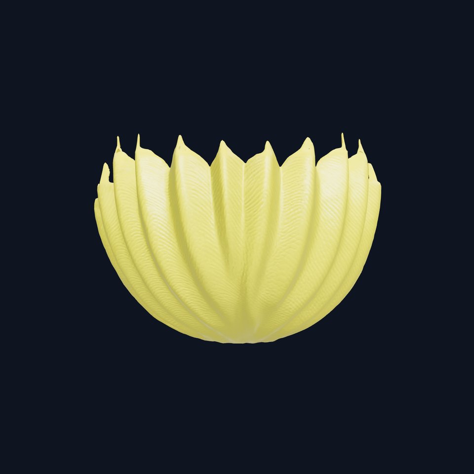 Underwater Plant Vibrant Leaf Structure model pack