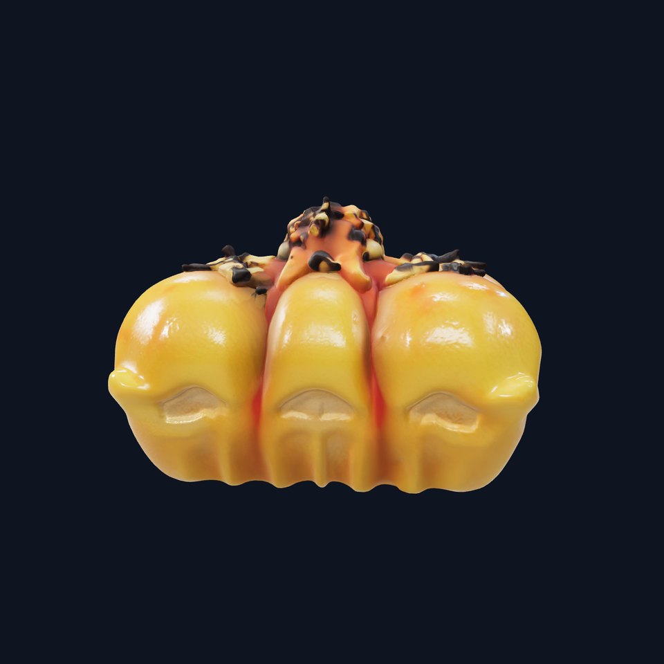 Takoyaki Deluxe Plate Model Pack