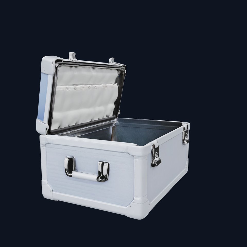Compact Storage Trunk Model Pack with Customizable Compartments