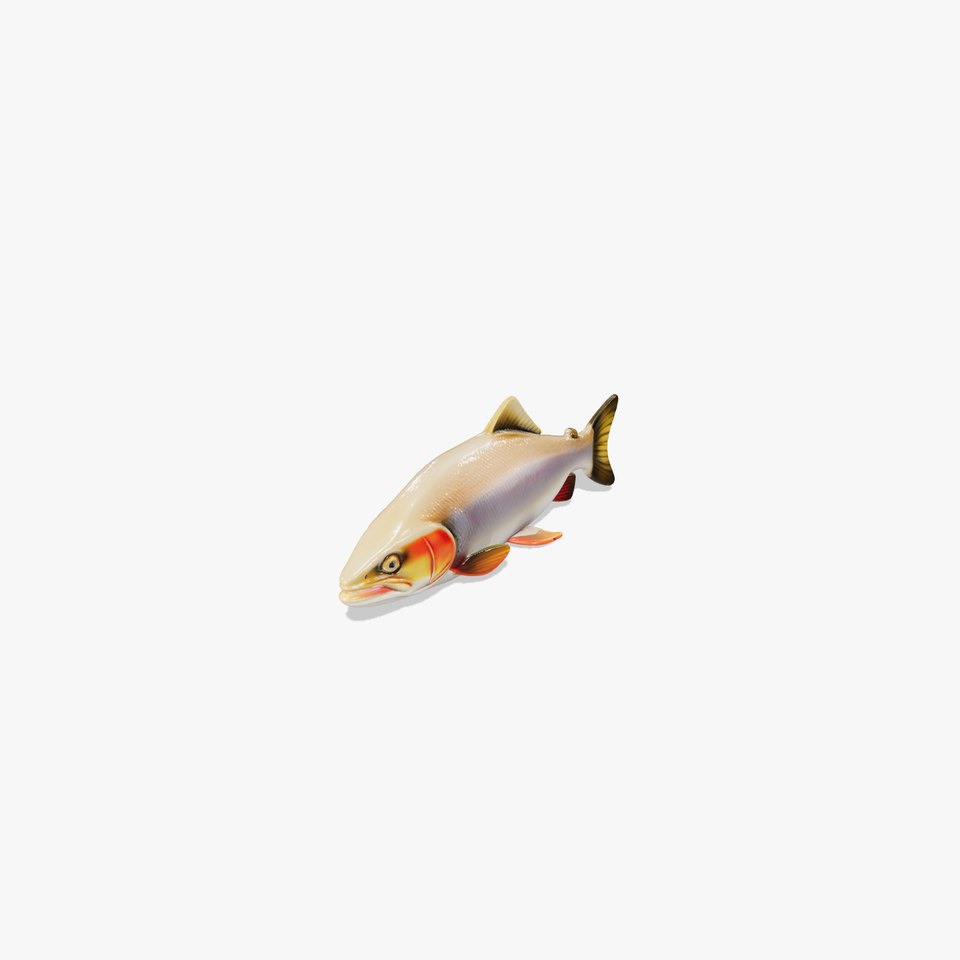 Bull Trout Realistic Model Pack
