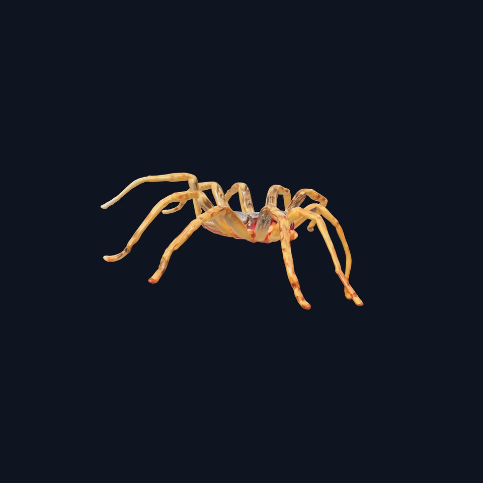 Huntsman Spider Agile Model Pack