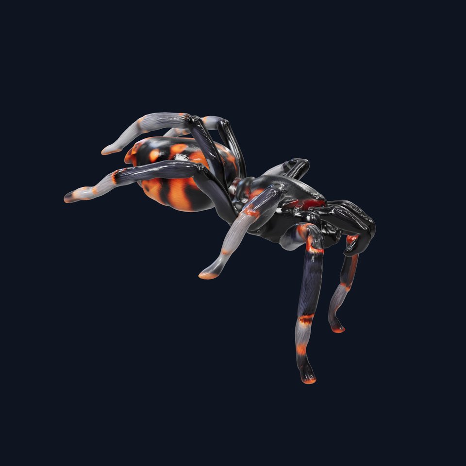 Sydney Funnel-Web Spider Realistic model pack