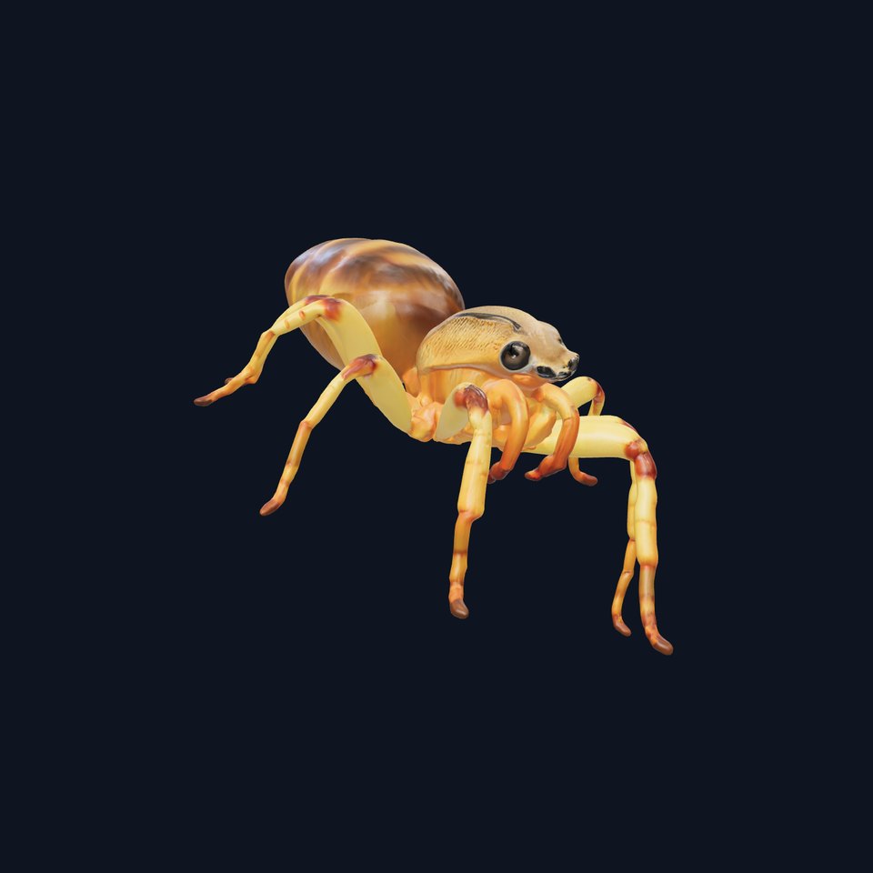 Desert Camel Spider Realistic Insect Model Pack