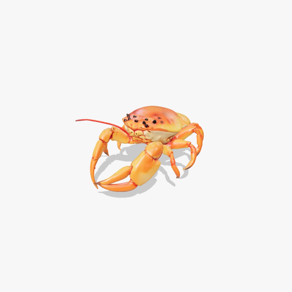 Kamchatka Crab Spiky Carapace Model Pack
