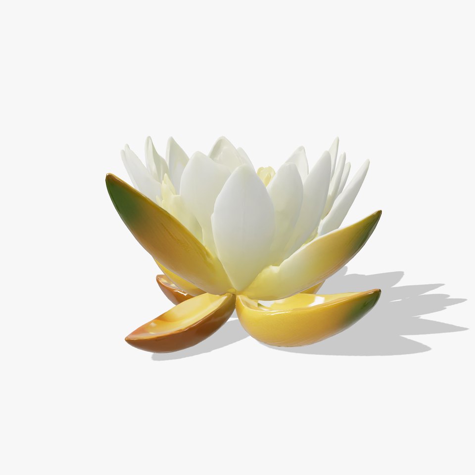 Dwarf Water Lily Small Flowers Model Pack