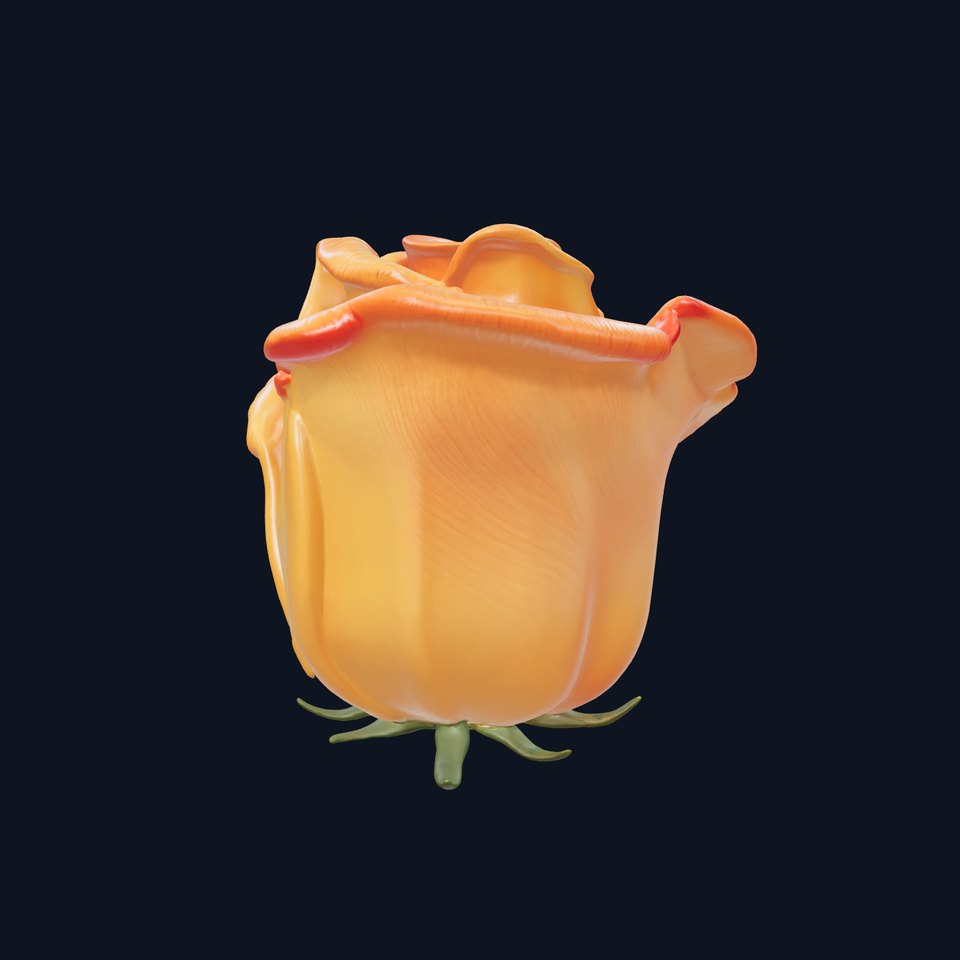 Rose Variety Beauty Blossoms model pack