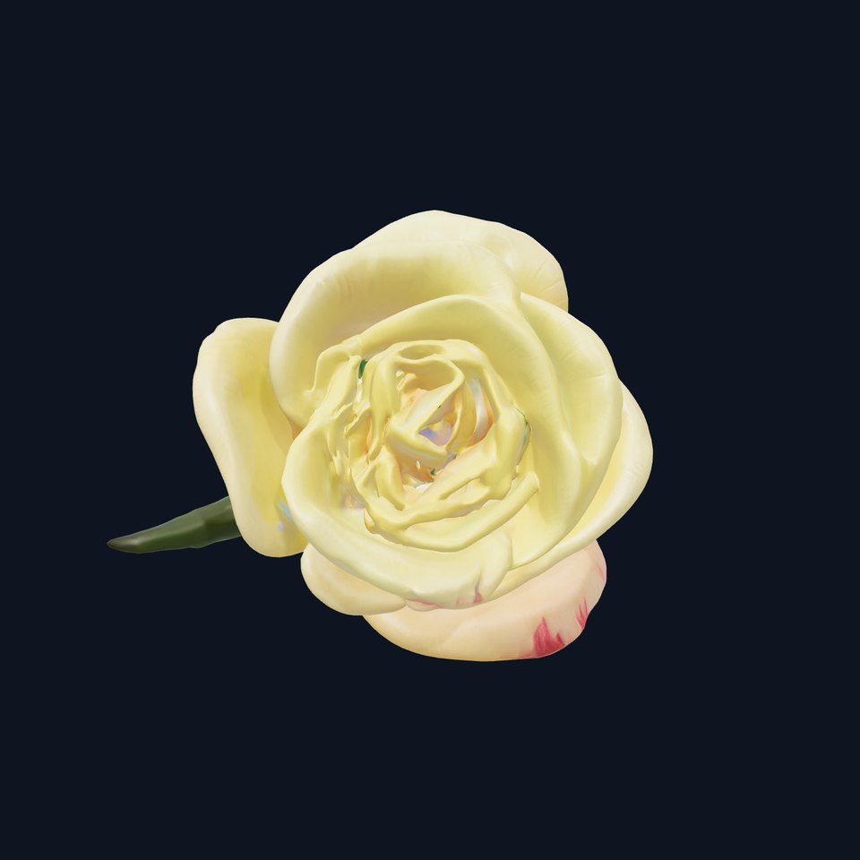 Realistic Rose Flower 3D model pack
