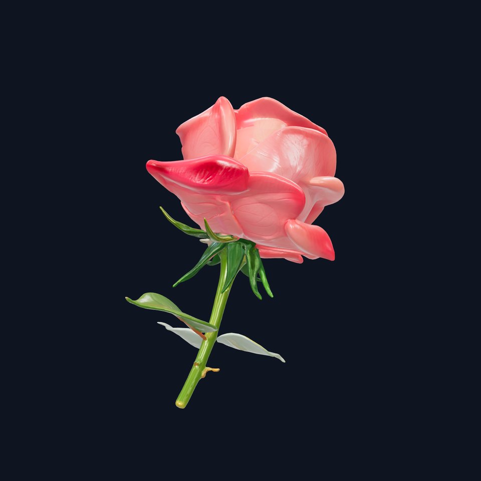 Velvety Rose Blossom Sculpture model pack