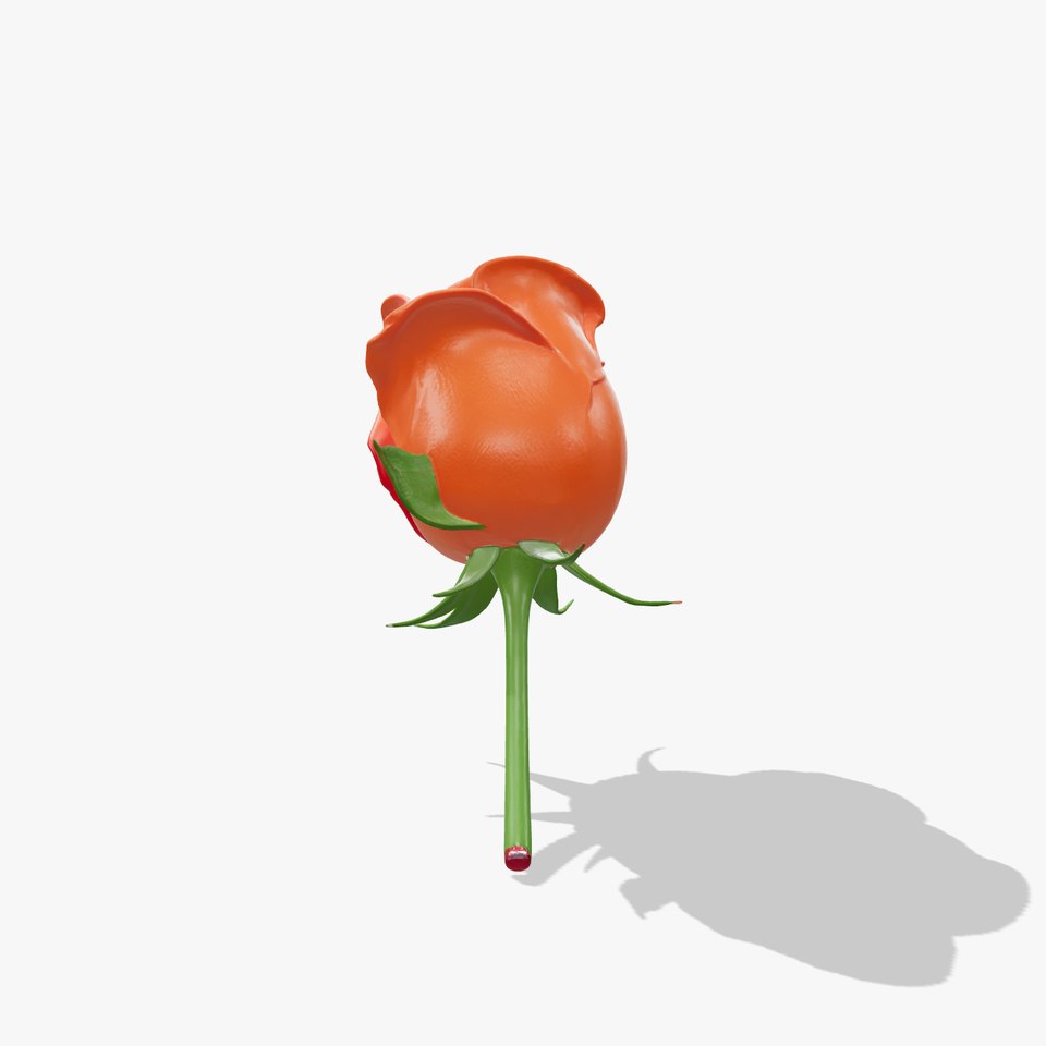 Rosa Orange Rose with Red Tips model pack
