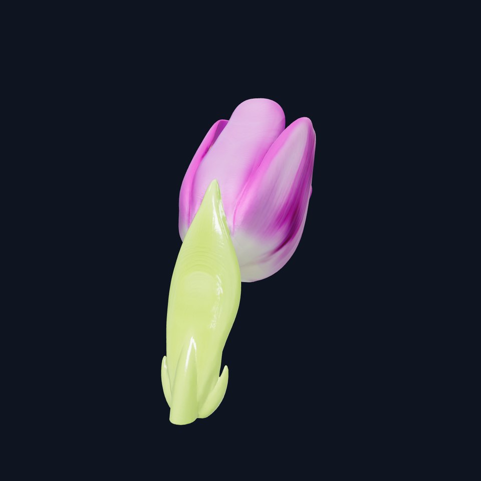 Tulipa Purple Velvety Petals 3D Model Pack