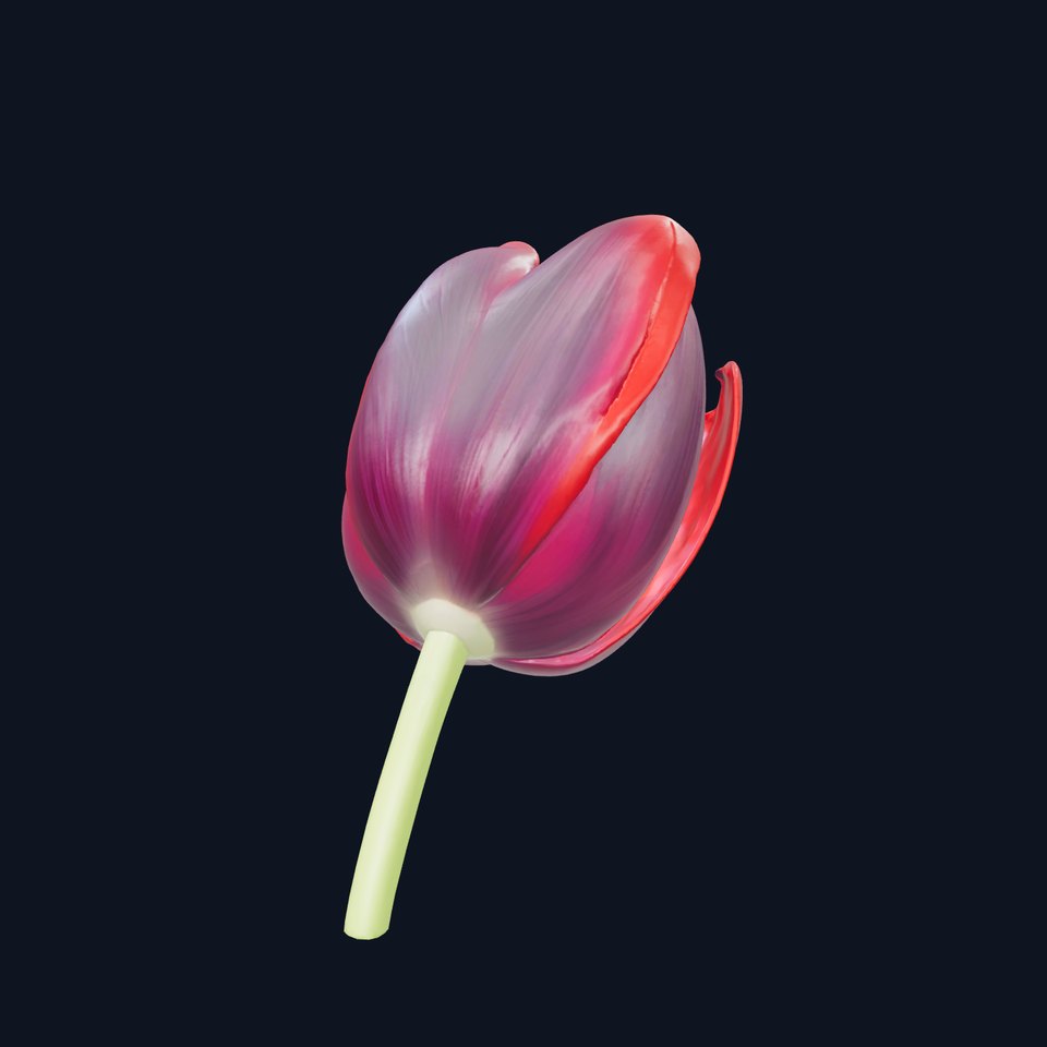 Tulipa Black Petal Sculpture model pack