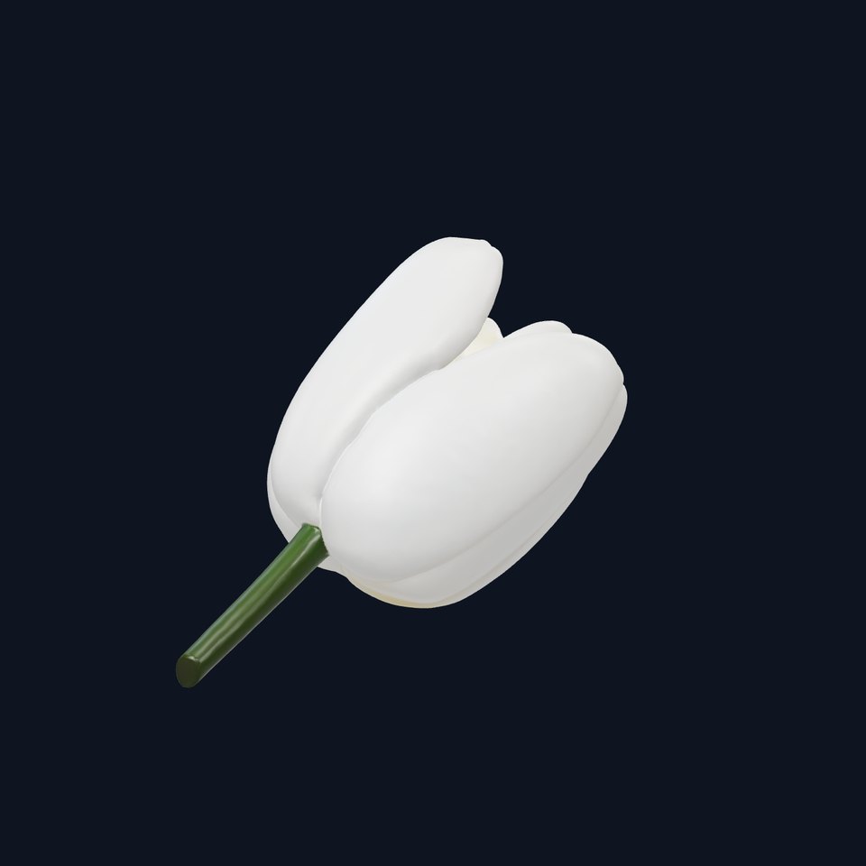 White Tulip Realistic Flower Model Pack