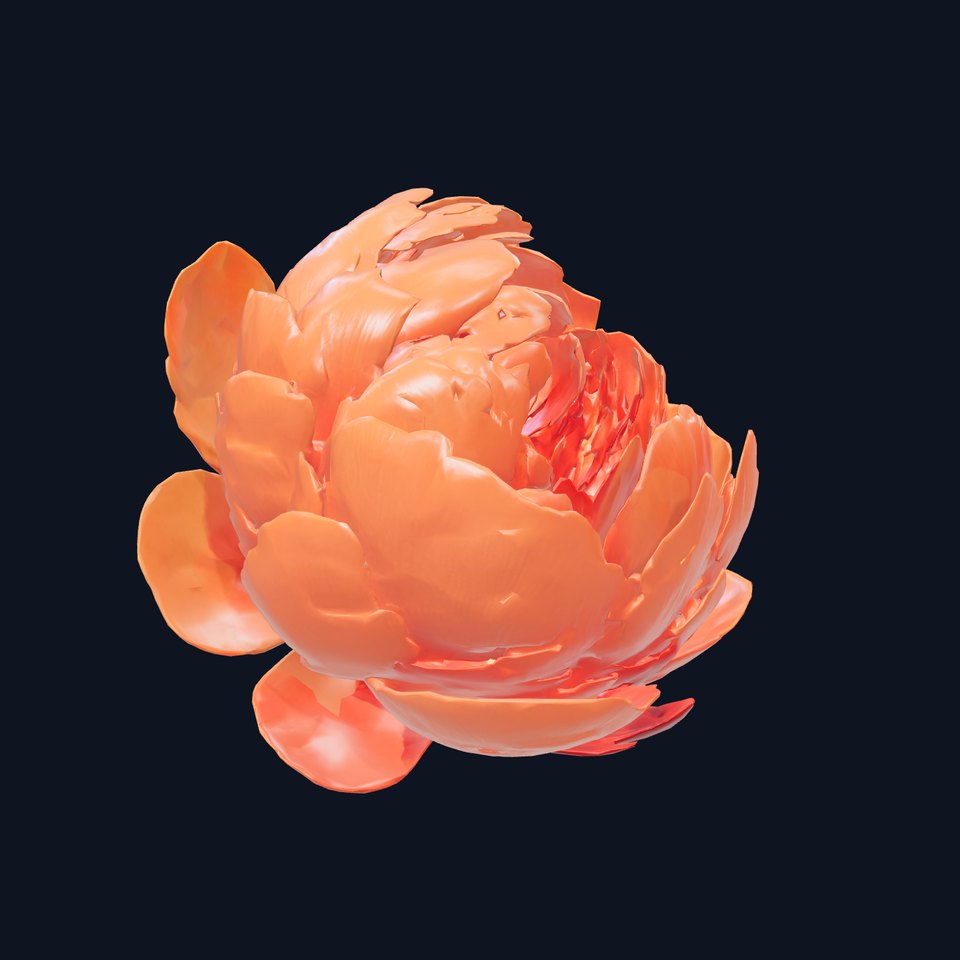 Coral Peony Soft Petals model pack