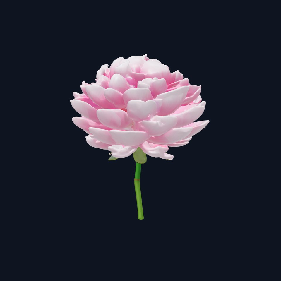 Double Peony Lush Blooms Elegance model pack