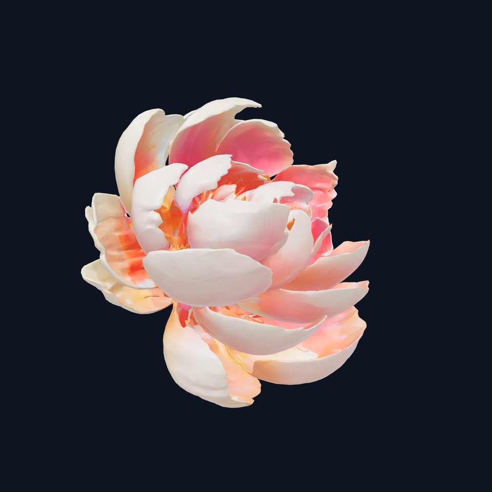 Bicolor Peony Soft Hue model pack