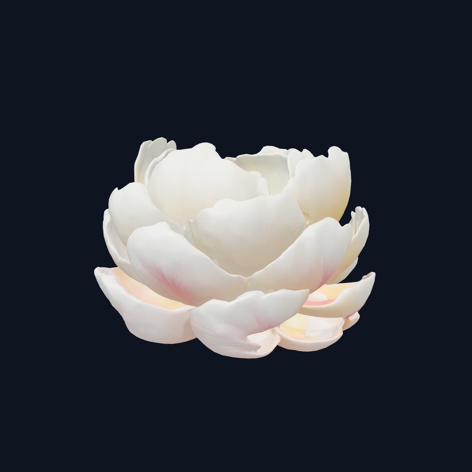 Peony Bloom Textured Model Pack