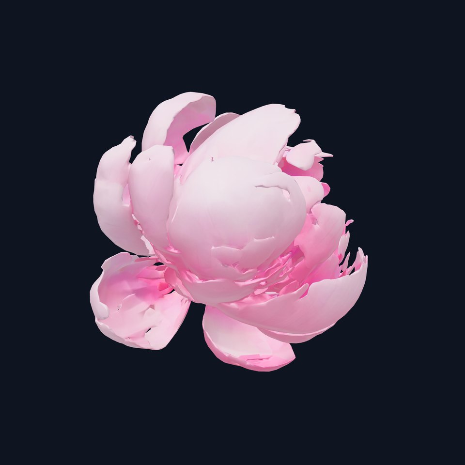 Realistic Peony Flower Diversity Model Pack