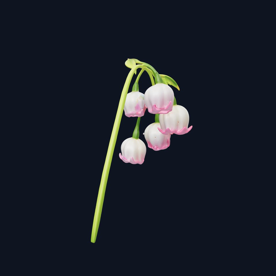 Bicolor Lily of the Valley model pack