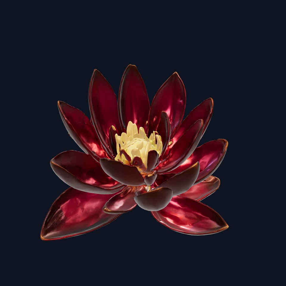 Black Water Lily Nymphaea model pack