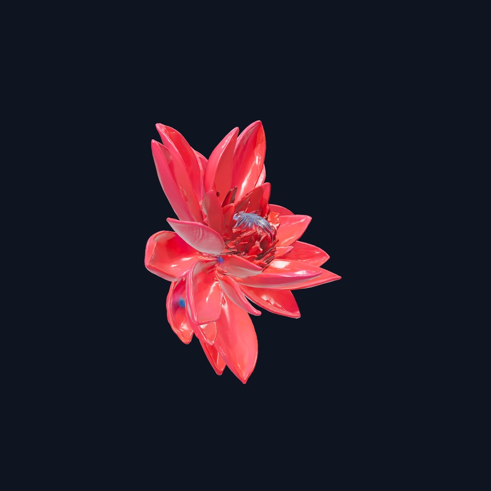 Red Water Lily Nymphaea Model Pack