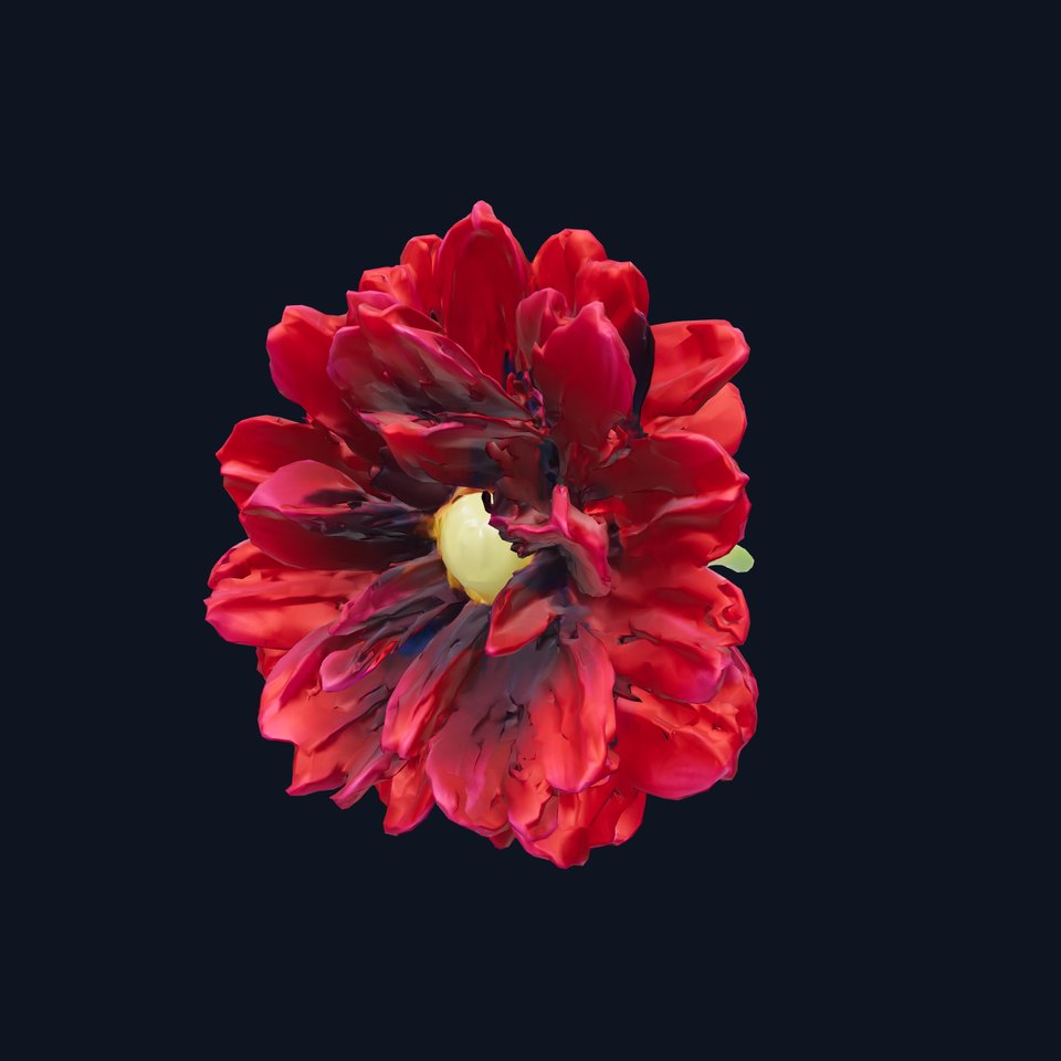 Dianthus Burgundy Petal Velvet Surfaces model pack