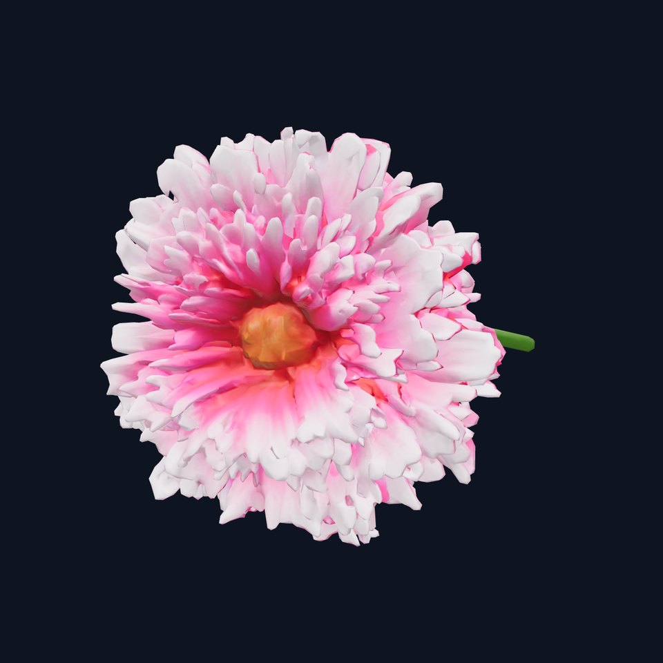 Dianthus Double Flower Intricate Petals model pack
