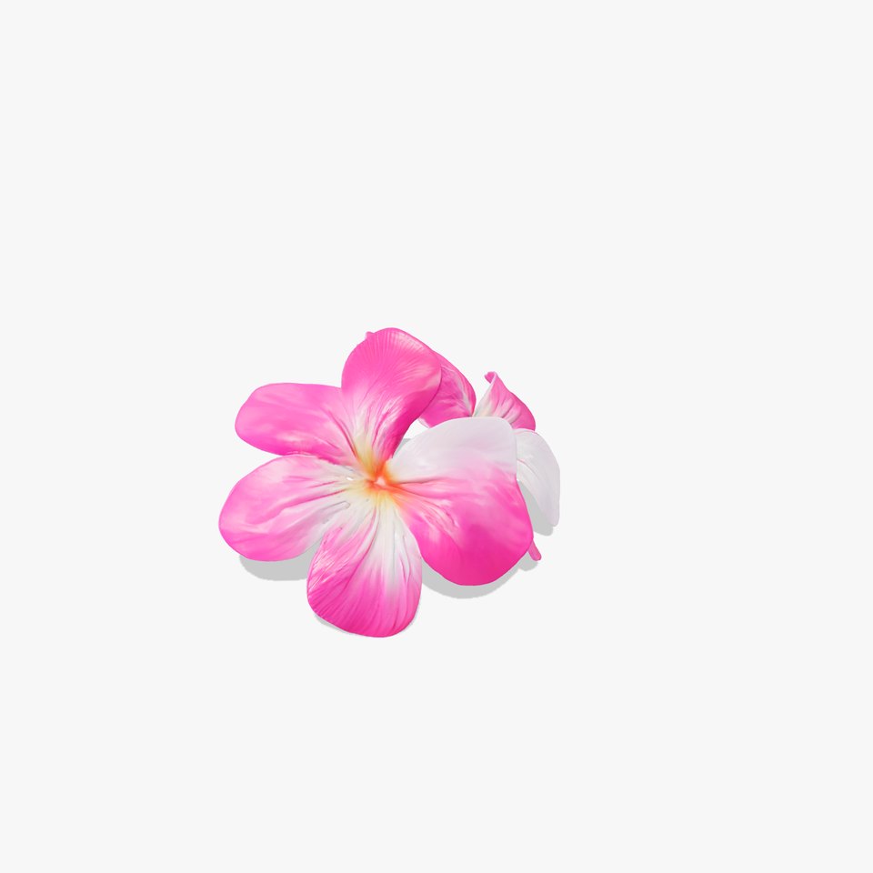 Rosy Bicolor Clover Petals Model Pack