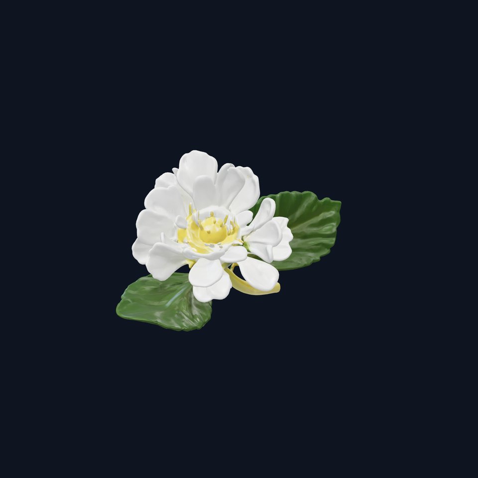 White Clover Flower Botanical Model Pack