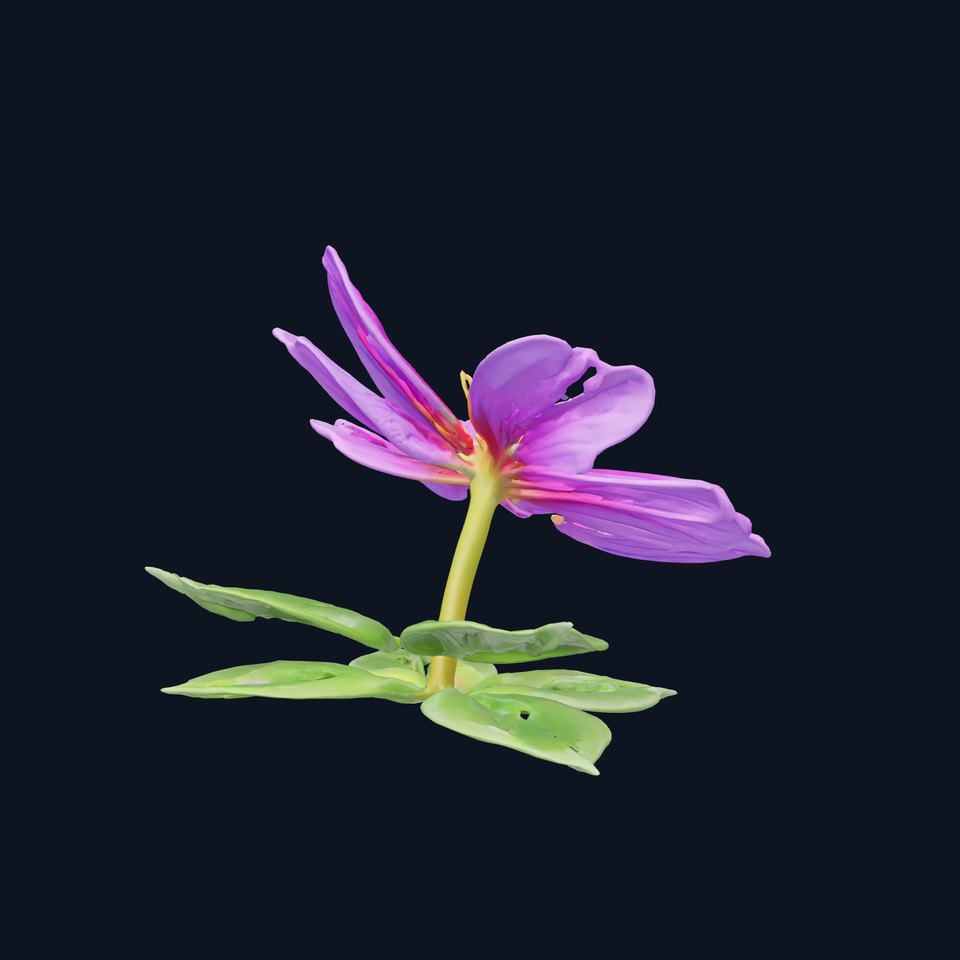 Vibrant Purple Clover Flower Model Pack