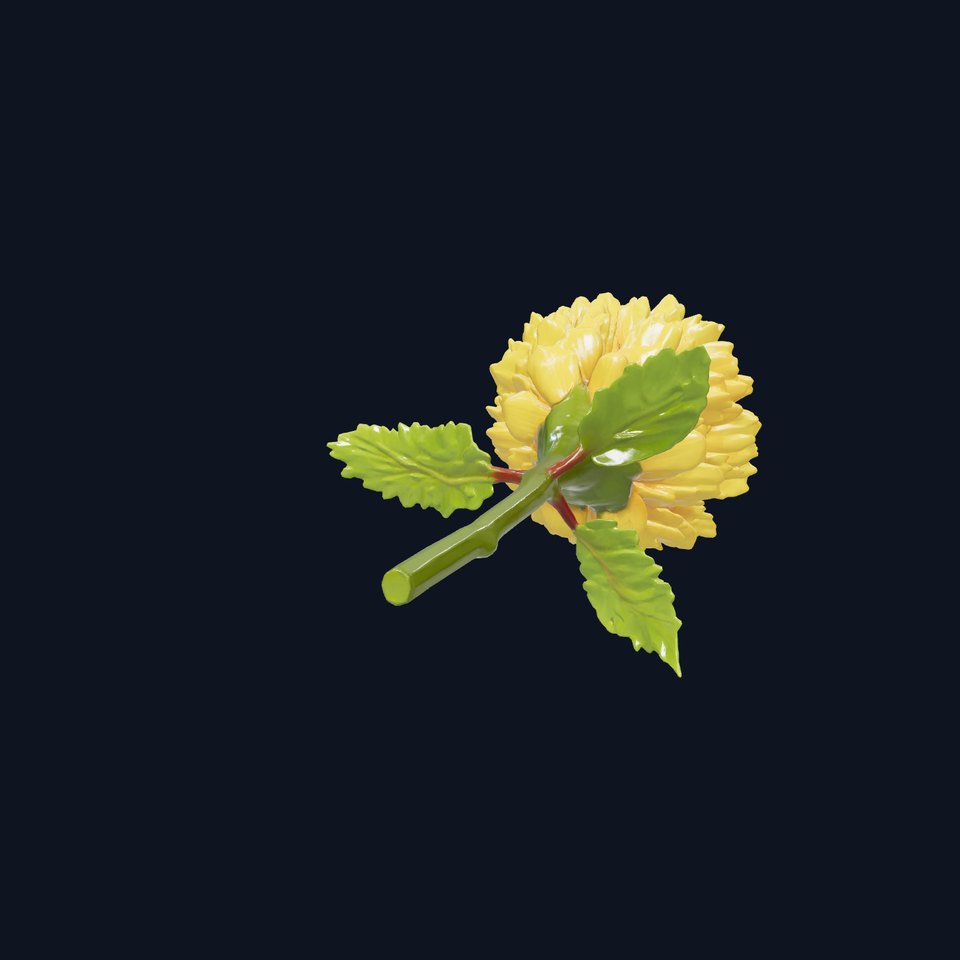 Yellow Ranunculus Flower Botanical model pack