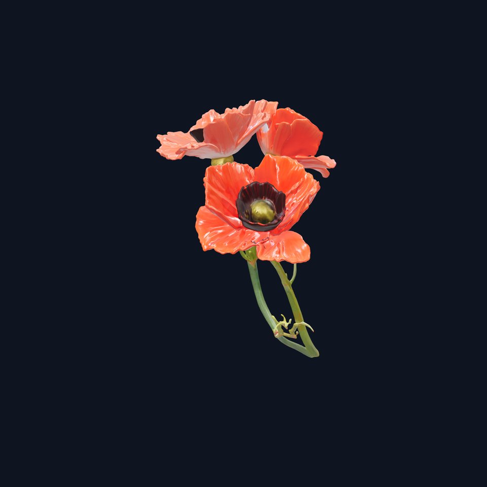 Papaver Minor Small Flower Model Pack