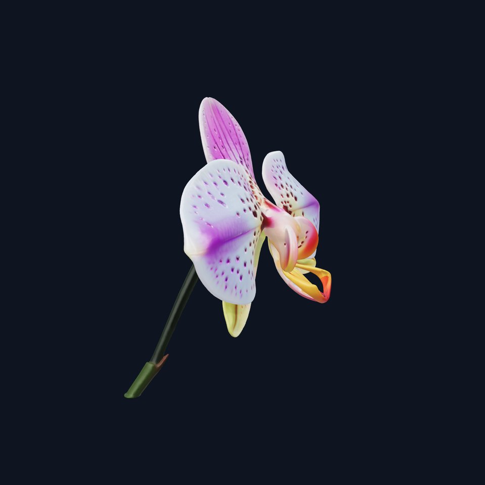 Vanda Orchid Flower Realistic 3D Model Pack