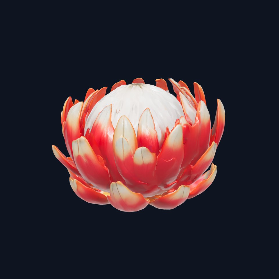 Silvery-Tipped Protea Flower model pack
