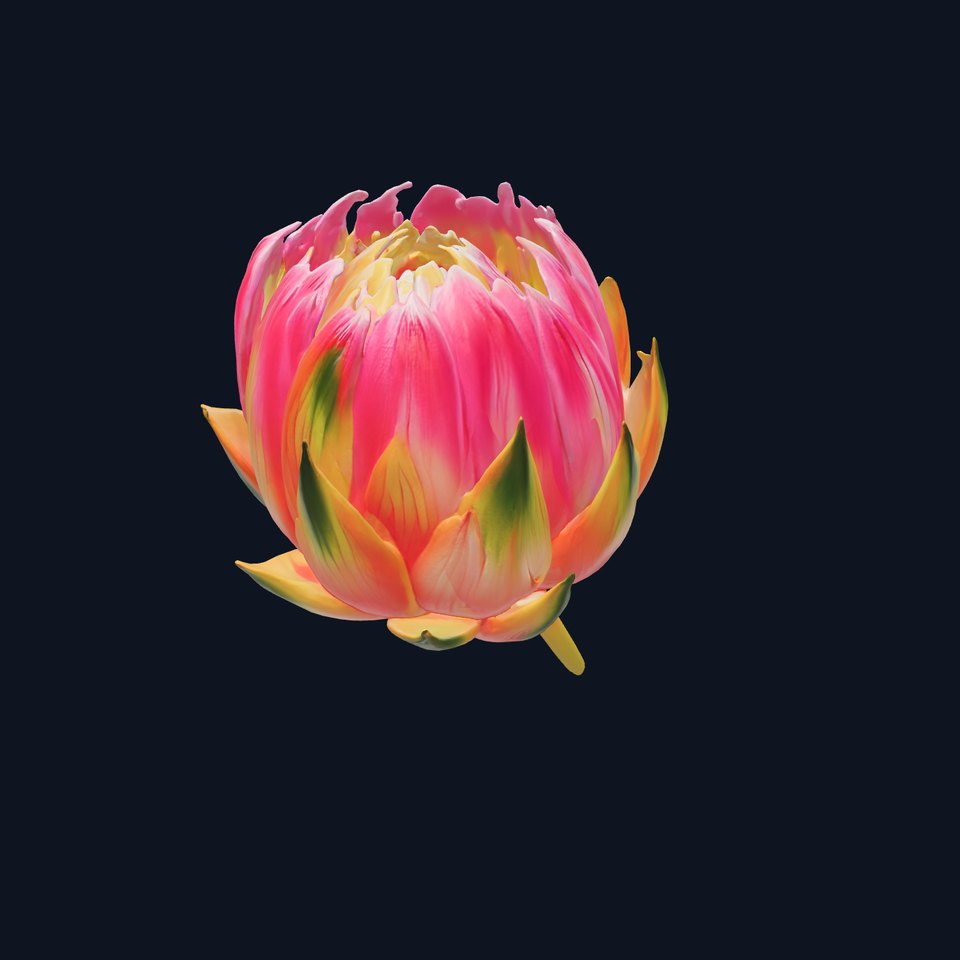 Vivid Protea Flower Model Pack
