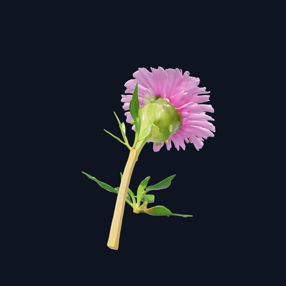 Dwarf Cornflower Realistic Texture Model Pack