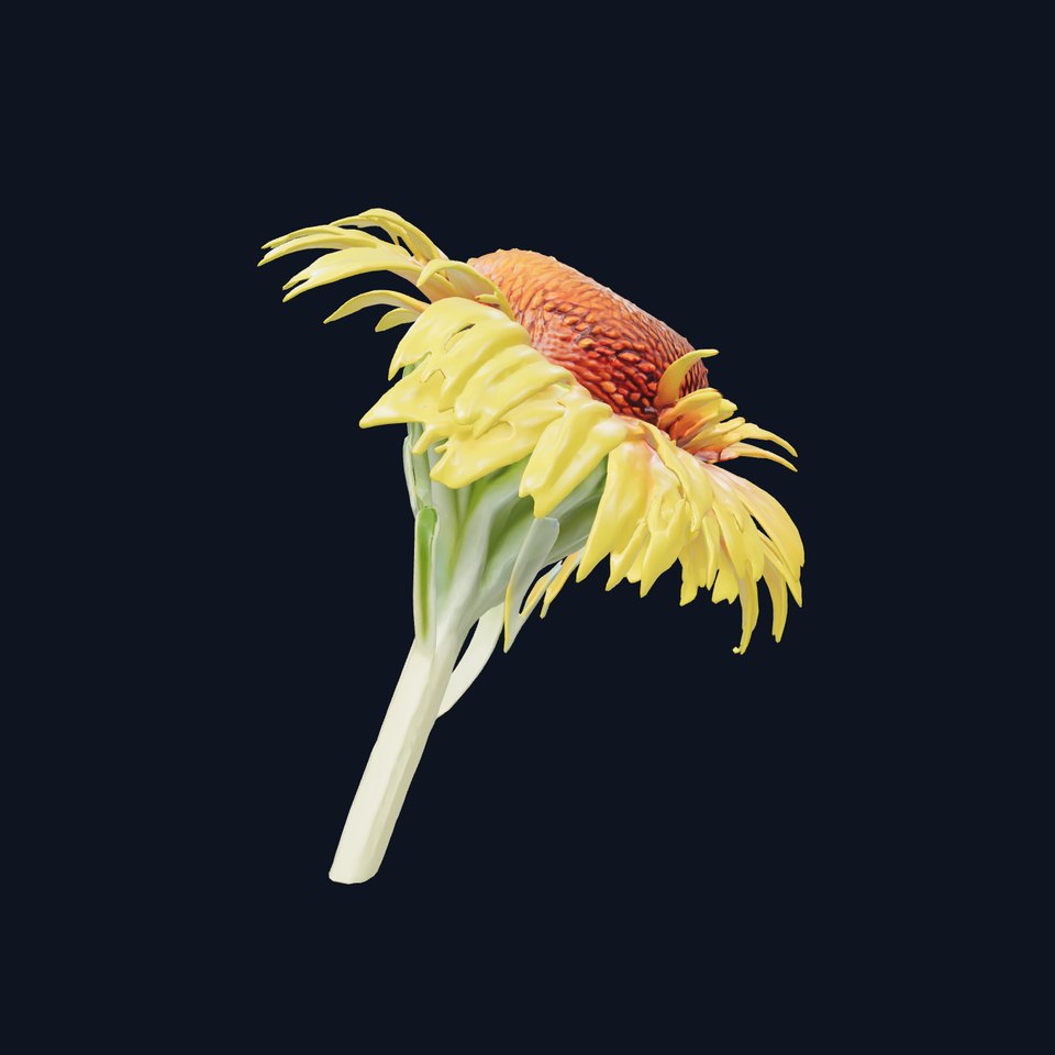 Yellow Cornflower Realistic Model Pack