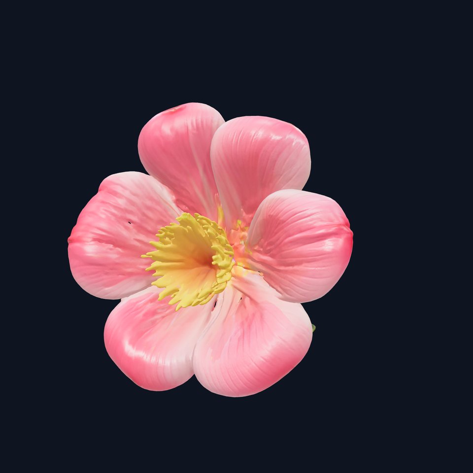 Delicate Pink Blossom Flower model pack