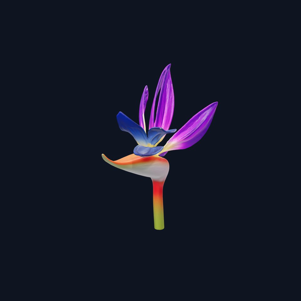 Strelitzia Reginae Exotic Purple Flower Model Pack