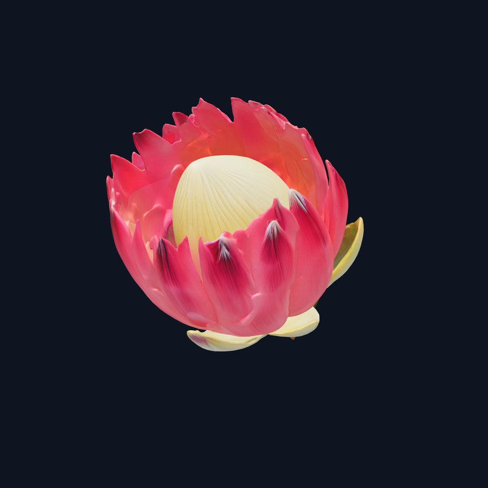 Protea cynaroides Flower Sculpture model pack